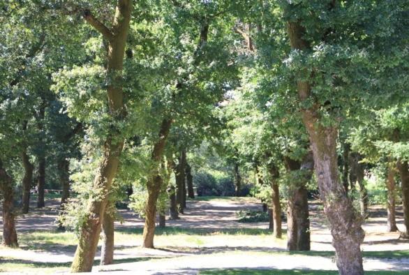 Alojamiento A Tafona Caldas De Reis Εξωτερικό φωτογραφία